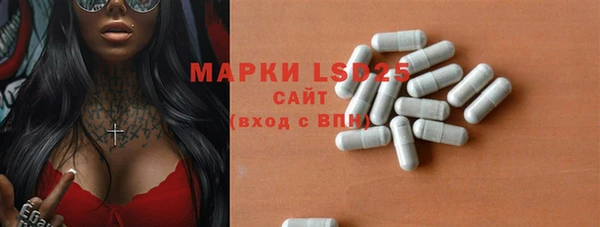 spice Покачи