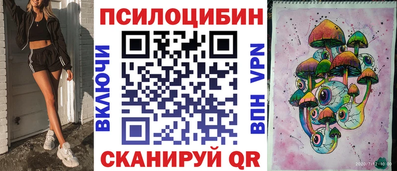 KRAKEN онион  Кадников  Галлюциногенные грибы Cubensis  дарнет шоп 